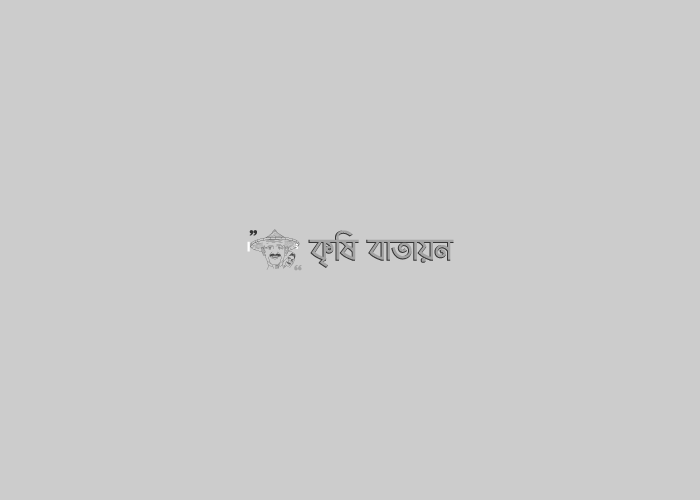 মধুখালীতে কৃষকদের নিয়ে মটিভেশনাল ট্যুর!